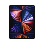 iPad Pro 12.9", Wi-Fi+Cellular, 256GB, Space Gray (2021)