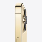 iPhone 13 Pro 1TB Gold