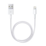 Apple 0.5 metro Lightning - USB kabelis