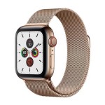 Watch Series 5 40mm GPS + Cellular Gold Stainless Steel Case with Gold Milanese Loop