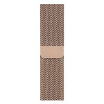 Watch Series 5 40mm GPS + Cellular Gold Stainless Steel Case with Gold Milanese Loop