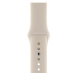 Watch Series 5 40mm GPS + Cellular Gold Stainless Steel Case with Stone Sport Band