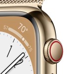 Apple Watch Series 8 GPS + Cellular 41mm Gold Stainless Steel Case with Gold Milanese Loop (naudotas)