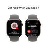 Apple Watch Series 10 GPS + Cellular 42mm Natural Titanium Case with Stone Grey Sport Band - S/M