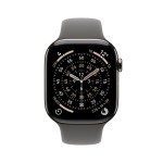 Apple Watch Series 11 GPS + Cellular 42mm Natural Titanium Case with Stone Grey Sport Band - M/L