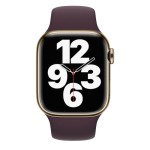45mm Dark Cherry Sport Band