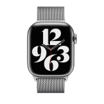 41mm Silver Milanese Loop