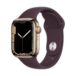 Apple Watch Series 7 GPS + Cellular, 41mm Gold Stainless Steel Case with Dark Cherry Sport Band 