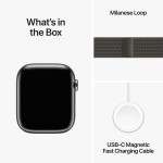 Apple Watch Series 9 GPS + Cellular 45mm Graphite Stainless Steel Case with Graphite Milanese Loop