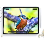 Hofi Paper Pro ekrano apsauga iPad 10.9” 10 / 2022 / 11” 11 / 2025 - Matte Clear
