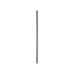 iPad mini 7.9", Wi-Fi, 256GB, Space Gray (2019)