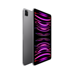iPad Pro 11 Wi-Fi+Cellular 2TB Space Gray (2022)