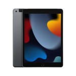 iPad 10.2", Wi-Fi + Cellular, 256GB, Space Gray (2021)