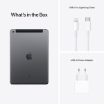 iPad 10.2", Wi-Fi + Cellular, 256GB, Space Gray (2021)
