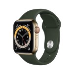 Apple Watch Series 6 GPS + Cellular, 40mm Gold Stainless Steel Case with Cyprus Green Sport Band