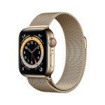 Apple Watch Series 6 GPS + Cellular, 40mm Gold Stainless Steel Case with Gold Milanese Loop (naudotas)