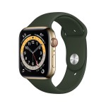 Apple Watch Series 6 GPS + Cellular, 44mm Gold Stainless Steel Case with Cyprus Green Sport Band