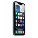 iPhone 16e/17e Silicone Case - Lake Green