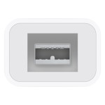 Apple Thunderbolt to FireWire adapteris