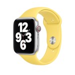 44mm Ginger Sport Band