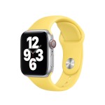 40mm Ginger Sport Band