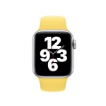 40mm Ginger Sport Band