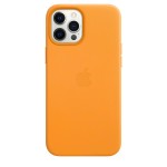 Apple iPhone 12 Pro Max odinis dėklas su MagSafe - California Poppy
