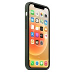 Apple iPhone 12 / 12 Pro silikoninis dėklas su MagSafe - Cyprus Green