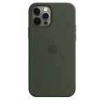 Apple iPhone 12 / 12 Pro silikoninis dėklas su MagSafe - Cyprus Green
