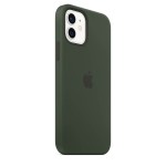 Apple iPhone 12 / 12 Pro silikoninis dėklas su MagSafe - Cyprus Green