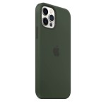 Apple iPhone 12 / 12 Pro silikoninis dėklas su MagSafe - Cyprus Green
