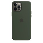 Apple iPhone 12 Pro Max silikoninis dėklas su MagSafe - Cyprus Green