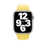 45mm Lemon Zest Sport Band