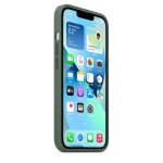 Apple iPhone 13 silikoninis dėklas su MagSafe - Eucalyptus