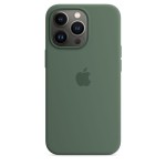Apple iPhone 13 Pro silikoninis dėklas su MagSafe - Eucalyptus