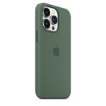 Apple iPhone 13 Pro silikoninis dėklas su MagSafe - Eucalyptus