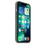 Apple iPhone 13 Pro silikoninis dėklas su MagSafe - Eucalyptus