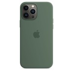 Apple iPhone 13 Pro Max silikoninis dėklas su MagSafe - Eucalyptus