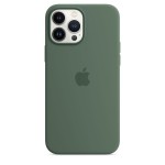 Apple iPhone 13 Pro Max silikoninis dėklas su MagSafe - Eucalyptus