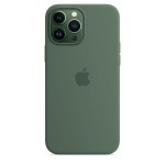 Apple iPhone 13 Pro Max silikoninis dėklas su MagSafe - Eucalyptus