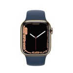 Apple Watch Series 7 GPS + Cellular, 45mm Gold Stainless Steel with Abyss Blue Sport Band