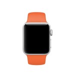 38mm Spicy Orange Sport Band
