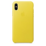 Apple iPhone X odinis Spring Yellow dėklas