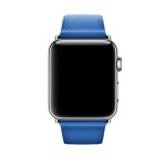42mm Electric Blue Classic Buckle