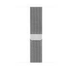 Watch Series 4 40mm Stainless Steel Case with Milanese Loop