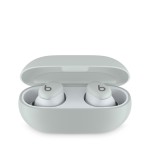 Beats Solo Buds - True Wireless Earbuds - Storm Grey