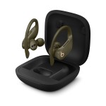 Powerbeats Pro Totally Wireless Earphones - Moss