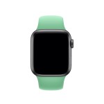 40mm Spearmint Sport Band