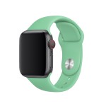 40mm Spearmint Sport Band