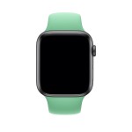 44mm Spearmint Sport Band